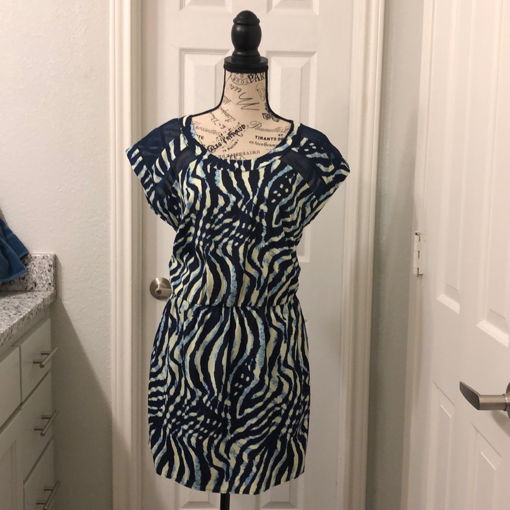 NWT Cute Blue Zebra Print Dress